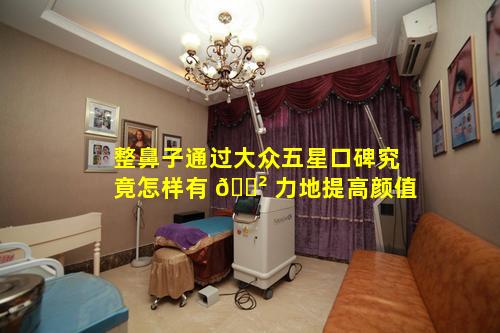 整鼻子通过大众五星口碑究竟怎样有 🌲 力地提高颜值